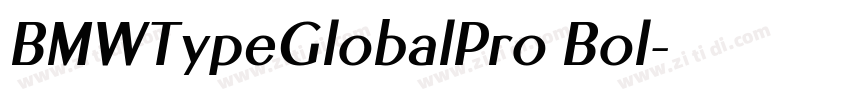 BMWTypeGlobalPro Bol字体转换 BMWTypeGlobalPro Bol字体转换